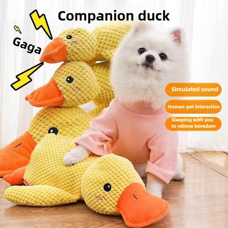 Calming Duck