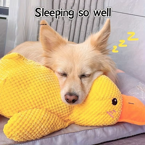 Calming Duck