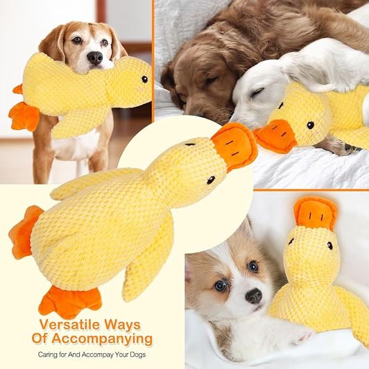 Calming Duck