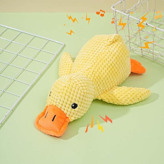 Calming Duck